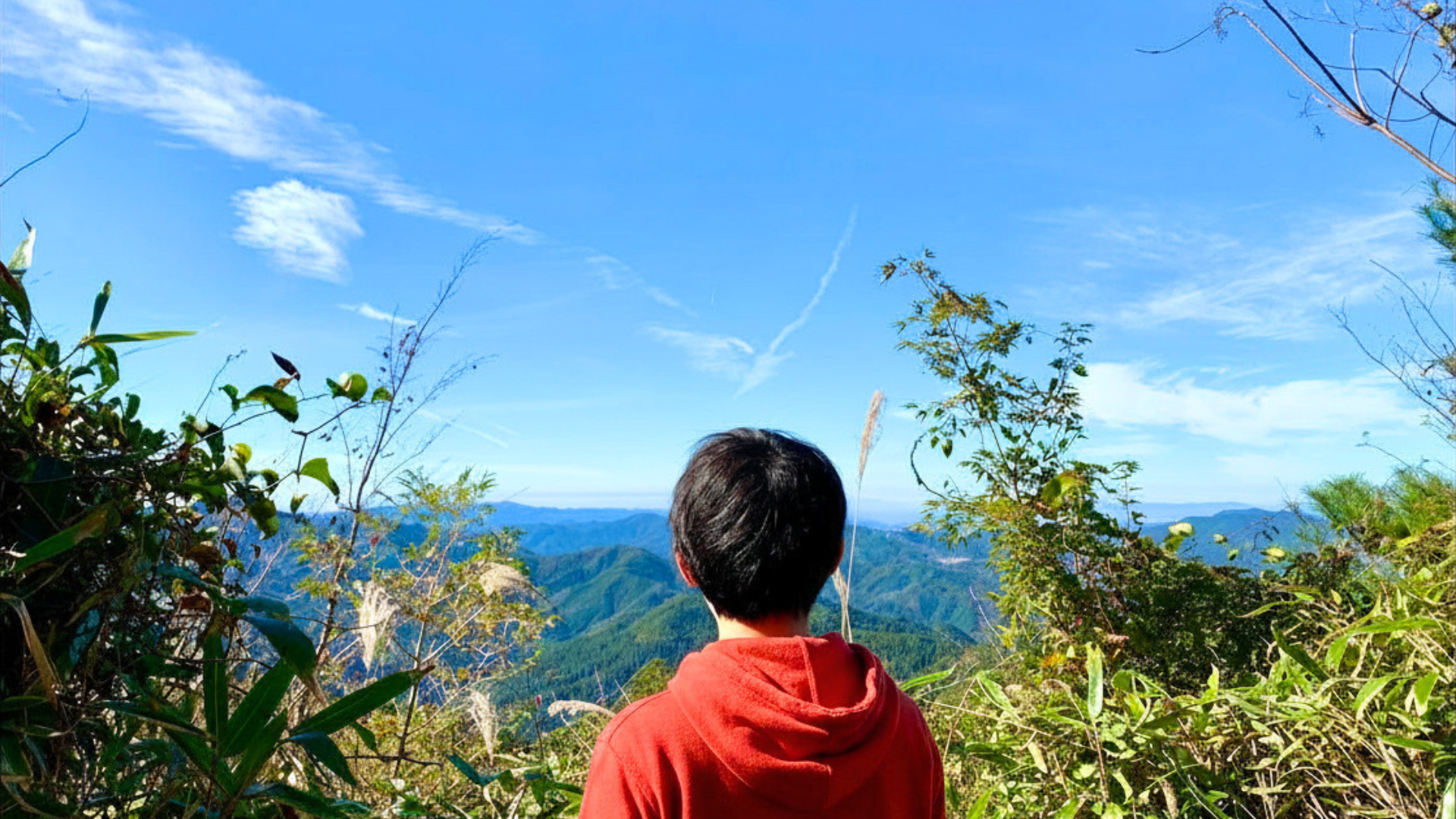 高野山の山並みと空を眺める後ろ姿